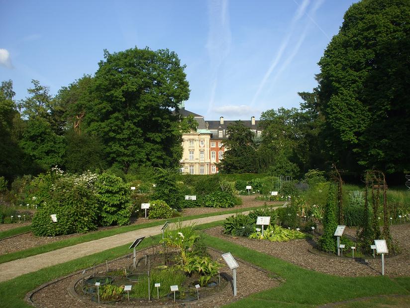 Botanischer Garten Münster